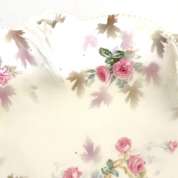 RS Prussia Porcelain Celery Relish Serving Dish Pink Rose Flower Floral Antique - Picture 9 of 15